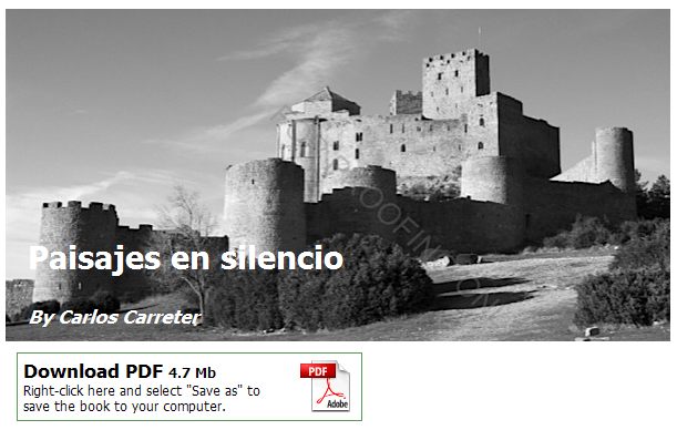 Así aparece representado mi libro en SoFoBoMo 2009