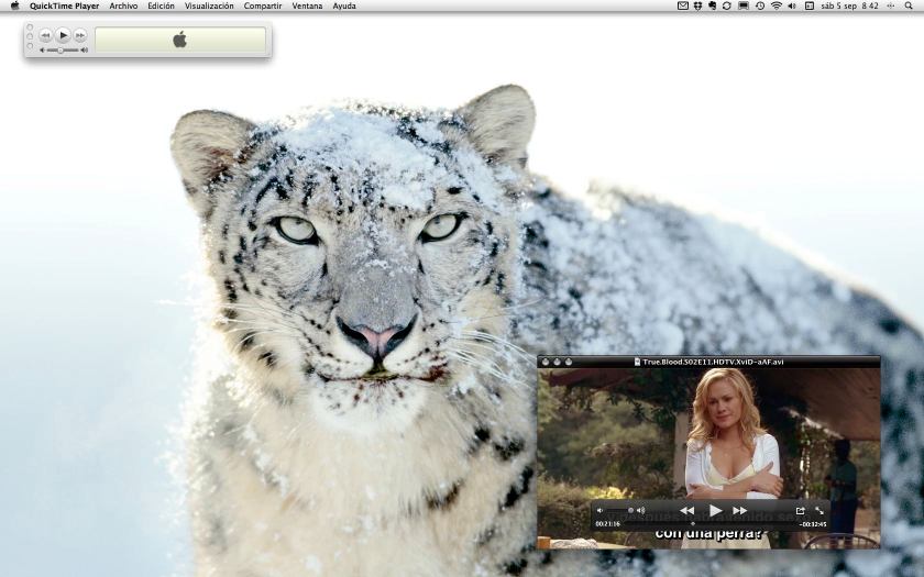 Captura de pantalla 2009-09-05 a las 08.42.56 Captura de pantalla 2009-09-05 a las 08.42.56