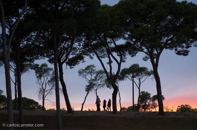 Atardecer en el Cabezo Buenavista, Zaragoza.