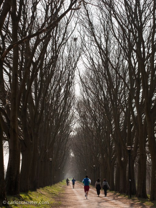 Pero sin duda, mi primer viaje interesante fue mi escapada de cinco días por Italia. Qué agradable pasear por los "rampari" de Ferrara.