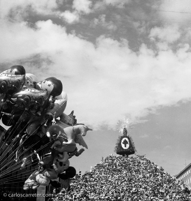 Consecuencias de la ofrenda de flores en la plaza del Pilar de Zaragoza. Fotografía tomada con la Zeiss Ikon Ikonta b sobre negativo en blanco y negro cromogénico.