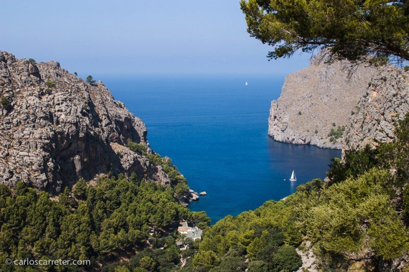 Pero no. Son la isla de Mallorca y la sierra de Tramuntana las elegidas para sustituir a la isla del Pacífico como escenario de la acción.