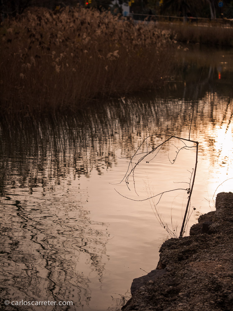 Aunque para gustos, los colores. Que yo prefiero que sean cálidos. La mayor parte de las ocasiones opto por paletas de ocres, amarillos, anaranjados y rojos, si puedo escoger.