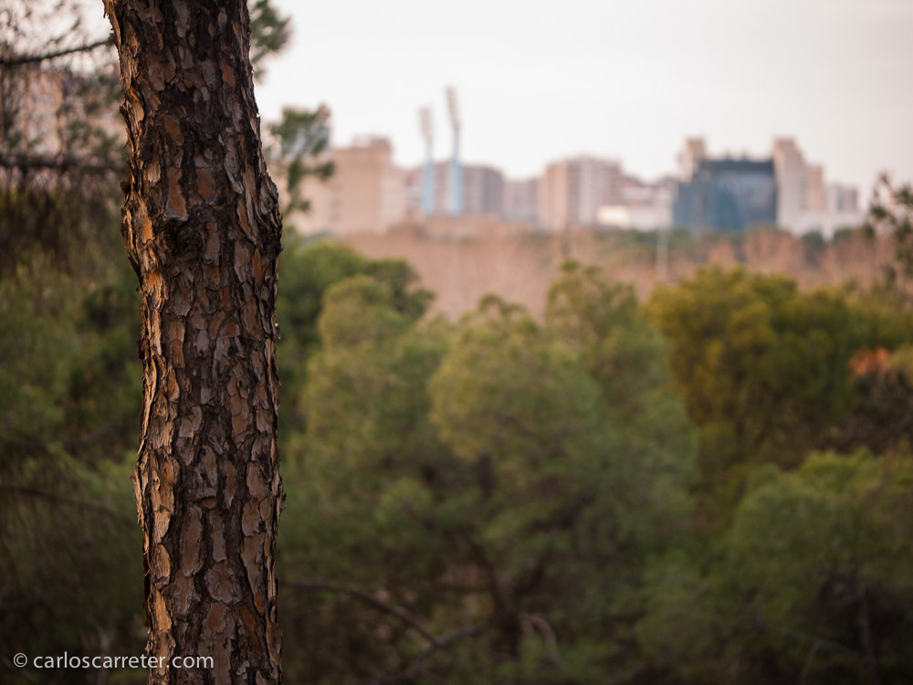 Mi forma de fotografiar la ciudad (tema del Réponses Photo que comento hoy) es calmada, soy introvertido. Tímido incluso. Siempre pongo cierta distancia.