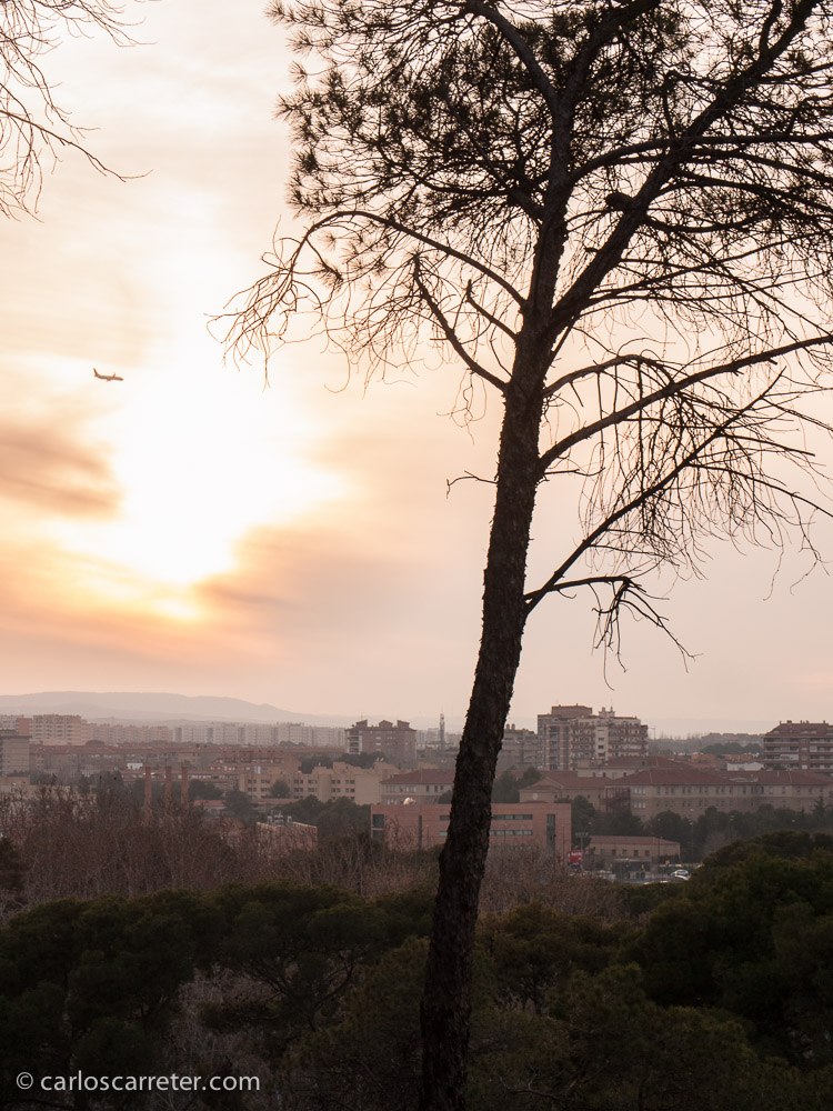 Desde lo alto de los cabezos del parque, apenas siente el bullicio de la ciudad un sábado por la tarde.