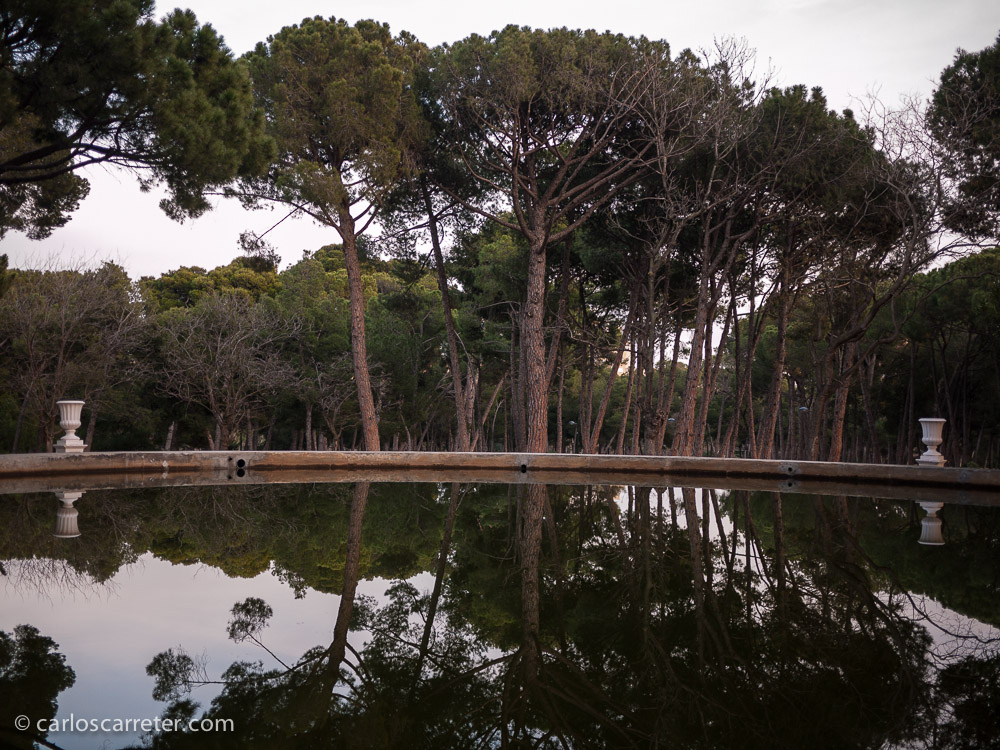 En realidad, yo soy más paisajista que callejero, lo reconozco.