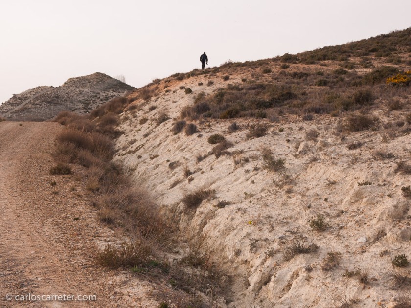 Entre los caminos polvorientos y el monte bajo, un aficionado a la fotografía busca el mejor punto de vista para su futura toma.