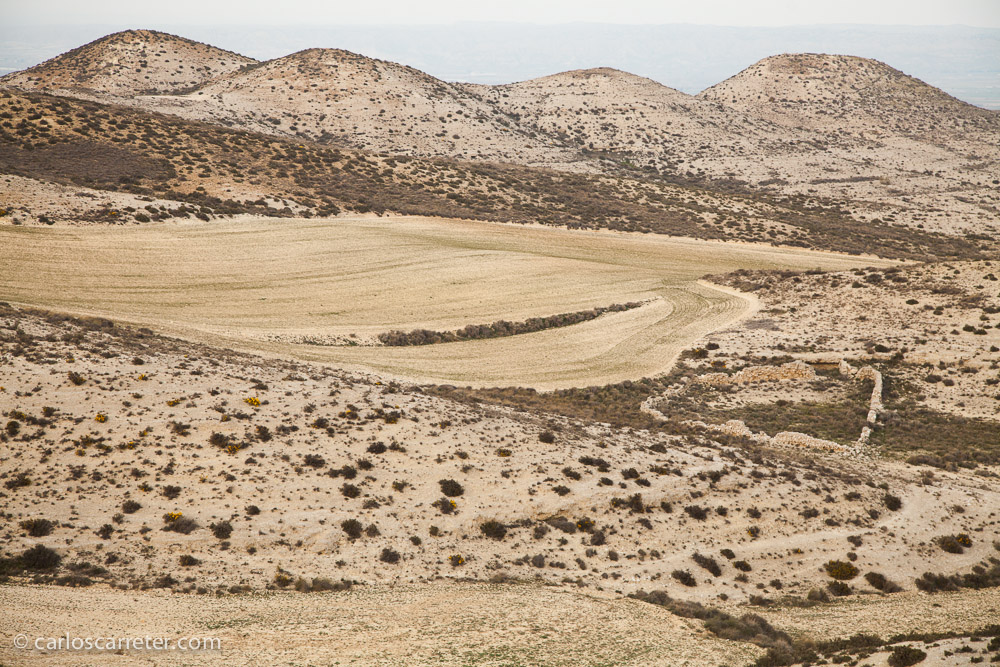 Fuera del valle fértil, los montes que nos rodean son áridos, con abundancia de piedra caliza y yesos.