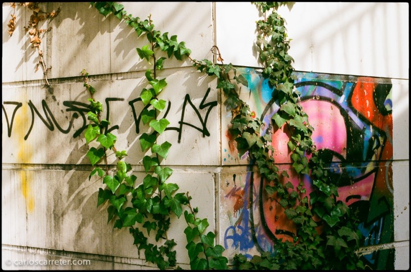 Bajo el puente de Hierro.