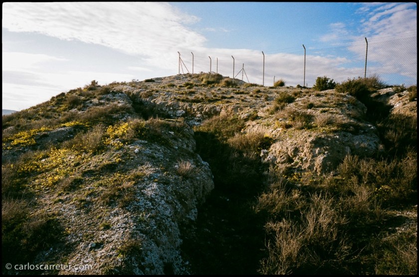 En el cabezo donde se encuentra el yacimiento arqueológico íberorromano.