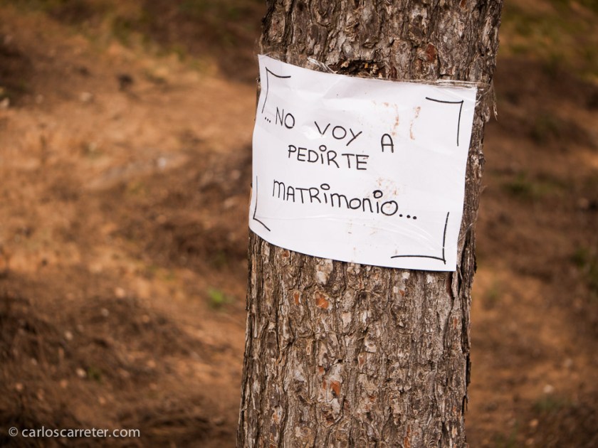 Sí que hay peticiones de matrimonio en Call the Midwife...