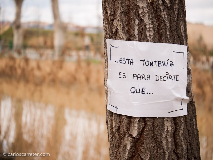 ... parecía que iba a terminar con algo...