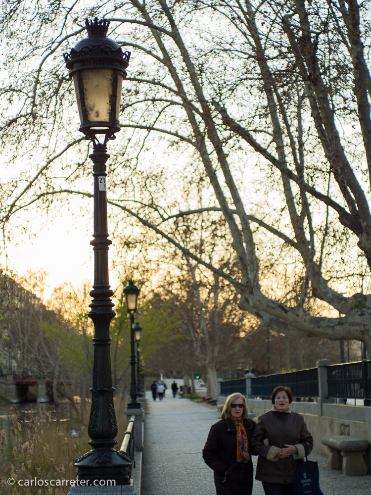 Un poquito más de contraluz con el diafragma en su máximo de apertura.