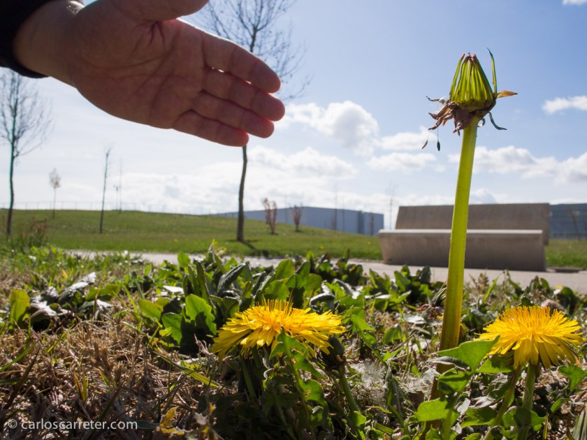 El rato que permanecemos en el parque también permite que aquellos con mejores conocimientos técnicos y más facilidad de palabra expliquen algunas cuestiones fotográficas al resto.