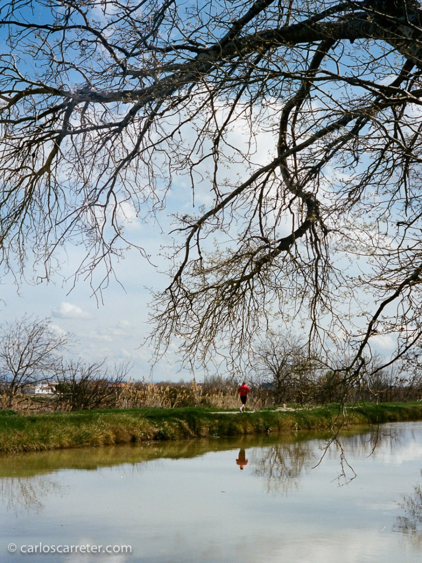 Paseo junto al Canal Imperial de Aragón.