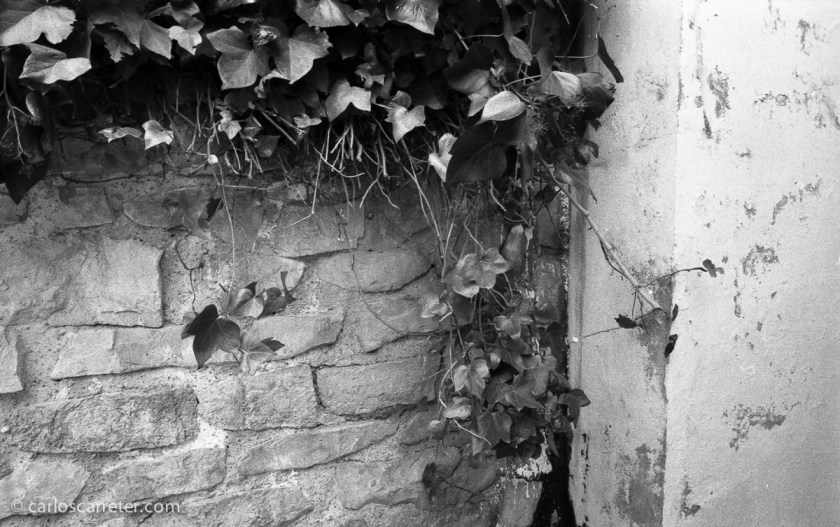 Parque Grande, Zaragoza.