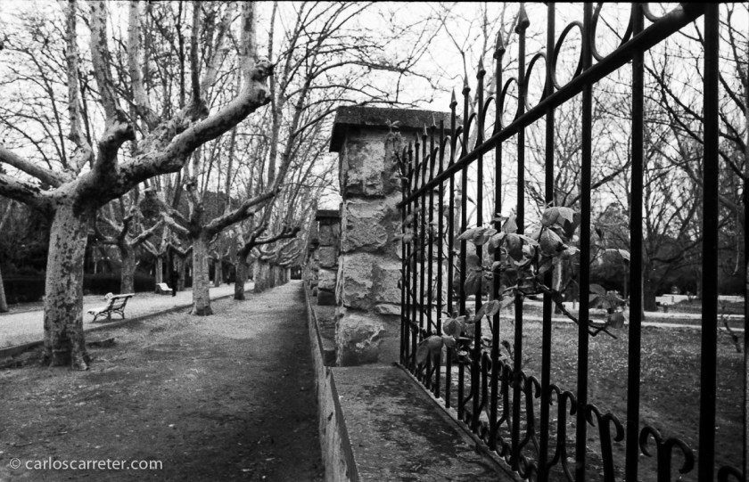 Parque Grande, Zaragoza.