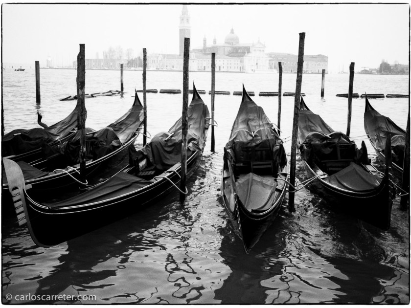Estos días estoy con la versión de prueba de la Nik Collection, especialmente son Silver Efex, para convertir fotografías a blanco y negro. Todavía no sé si me convence, porque no sé si me merece la pena gastar en esto. Pero os dejo algunas pruebas con fotografías de Venecia. Como la clásicas góndolas ante San Giorgio Maggiore.