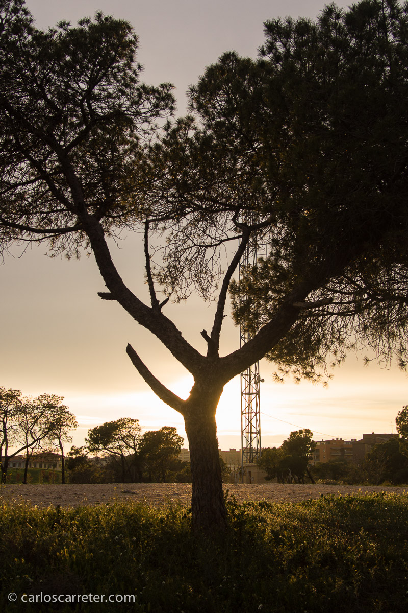 Son los fenómenos astronómico cotidianos, el ocaso y el alba, el vagar de la luna y los planetas por la esfera celesta, el brillo de las estrellas, los que han hecho soñar a generaciones de personas en viajar por el universo.