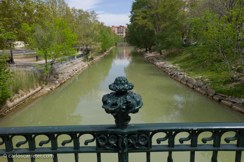 La única corrección de esta foto tomada con el Voigtländer de 25 mm es la distorsión en barrilete, que era obvia aunque no exagerada. Por lo demás está tal cual sale de la cámara. Canal Imperial de Aragón, Zaragoza.