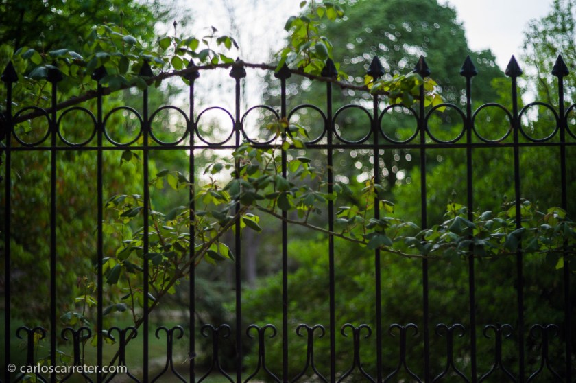 Por cierto, que estoy trasteando con un nuevo aparato fotográfico; ya iré contando en su momento... que la emoción me embarga las palabras...