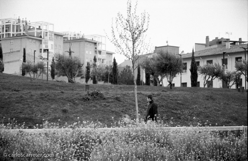 Paseando junto al Canal.