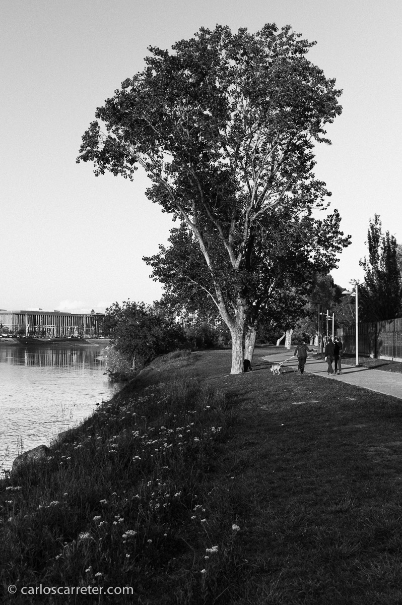 Los resultados pueden ser también muy satisfactorios; pero el aspecto es muy distinto. E incluso si intentas llevarlo a replicar el aspecto de los obtenidos por el método tradicional, pues no es lo mismo.