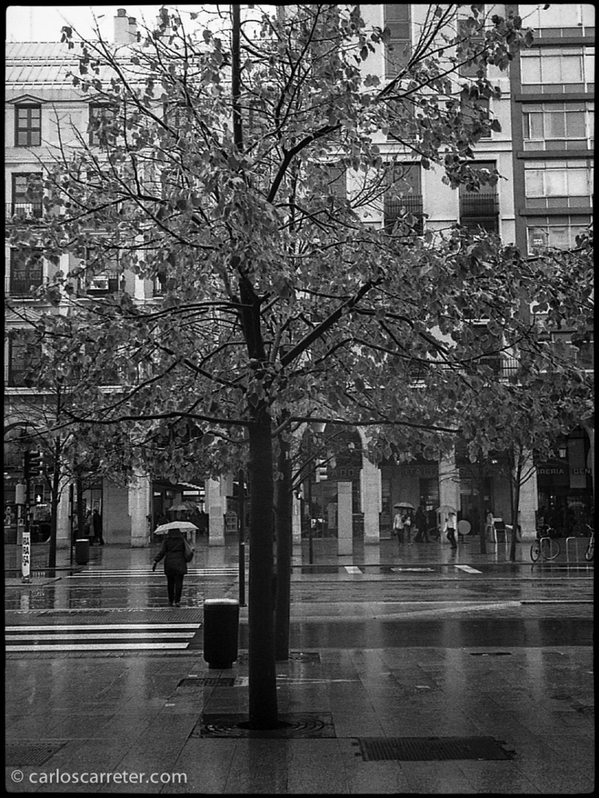 Lluvia y frío llevan a protegerse en los porches del paseo de la Independencia para realizar las primeras fotografías de prueba con la cámara.