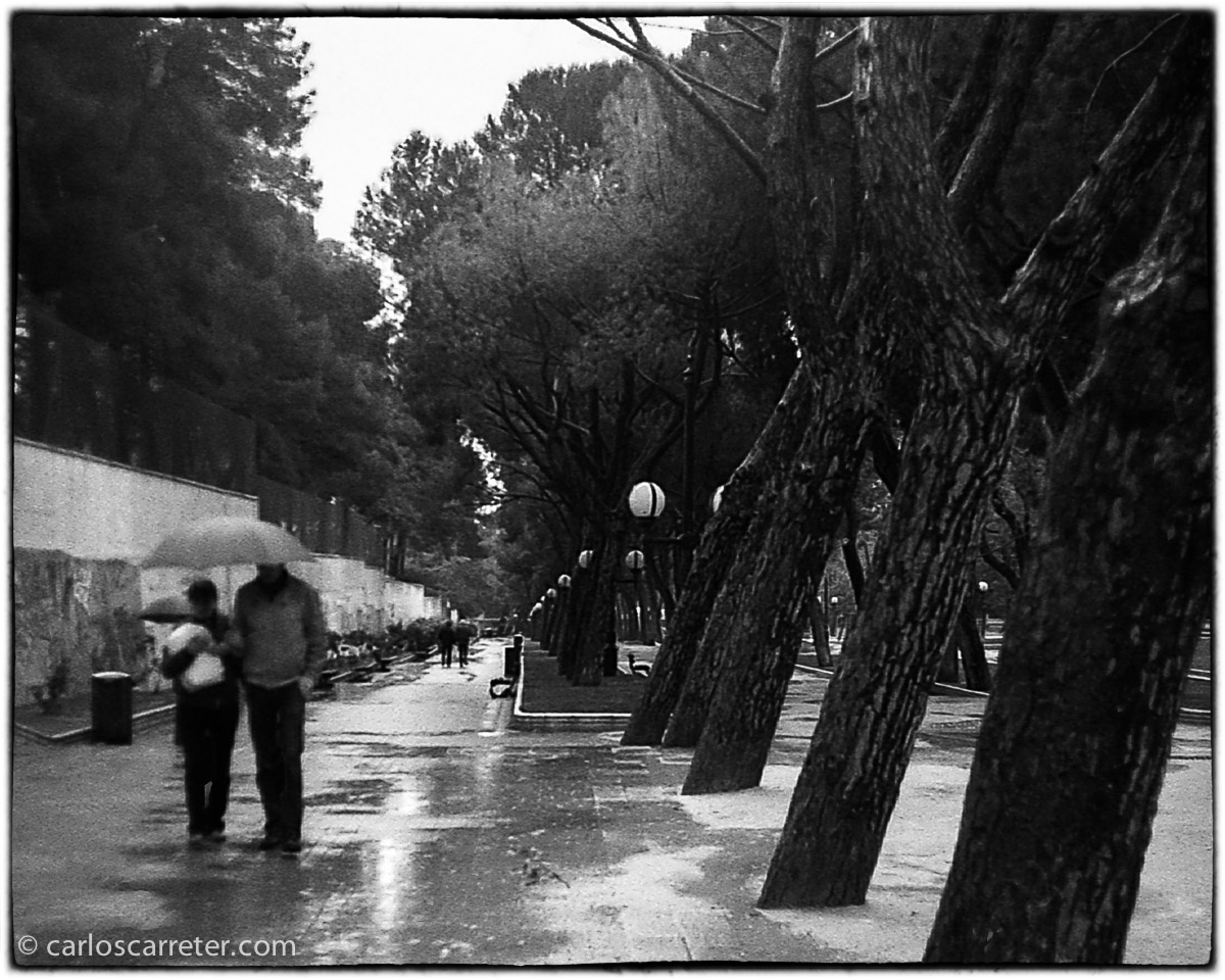 20131117-2013_Demi_046