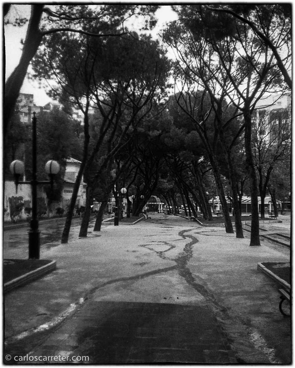 20131117-2013_Demi_049