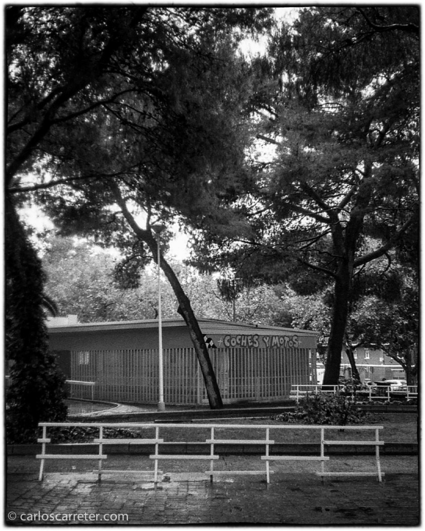 20131117-2013_Demi_052