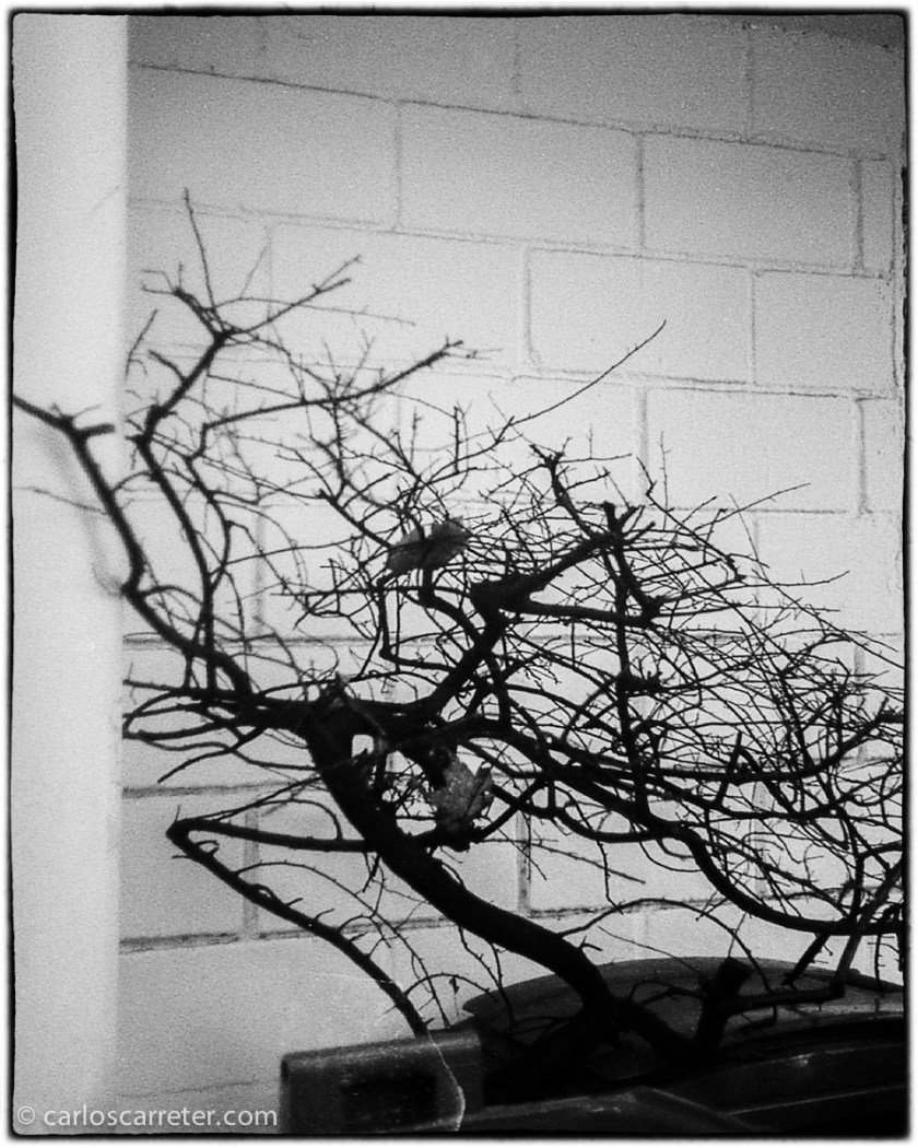 20131117-2013_Demi_053