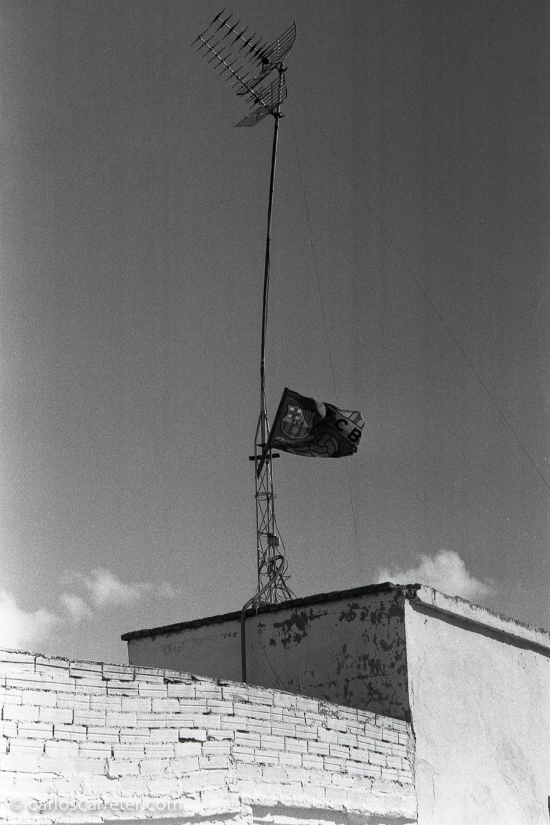 Y durante mi convalecencia de un pequeño incordio quirúrgico salí a pasear con la Leica IIIf calzada con una Industar ruso, copia aparente del Elmar 50/3,5.