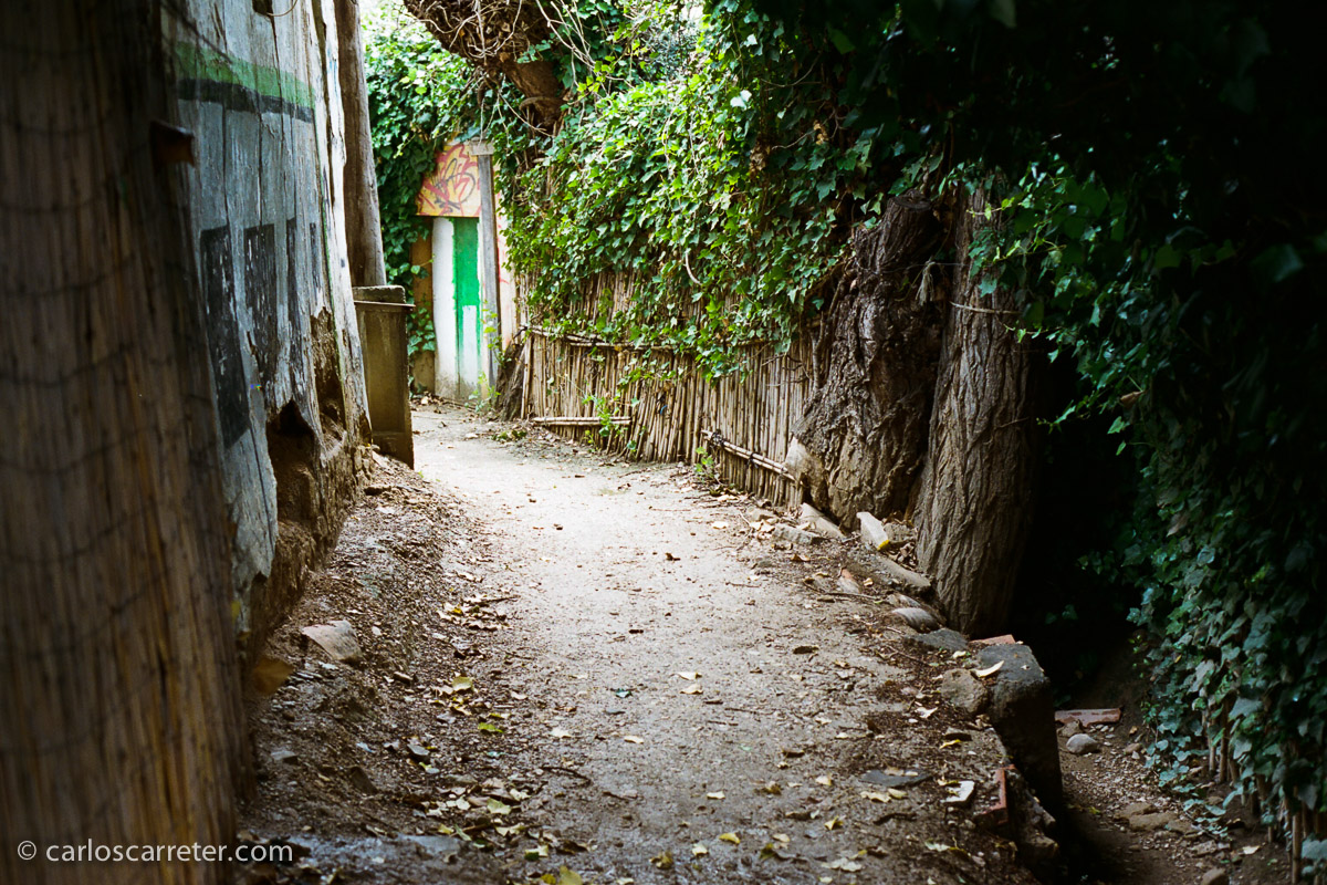 En un momento dado, también rescaté del olvido mi primera Canon EOS. La 100. Sin D. La más parecida a los aparatos modernos, es también la menos atractiva. La menos "distinta". Pero muy eficaz. Siempre lo fue.