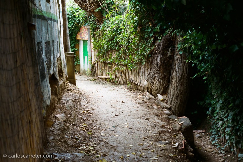 En un momento dado, también rescaté del olvido mi primera Canon EOS. La 100. Sin D. La más parecida a los aparatos modernos, es también la menos atractiva. La menos "distinta". Pero muy eficaz. Siempre lo fue.