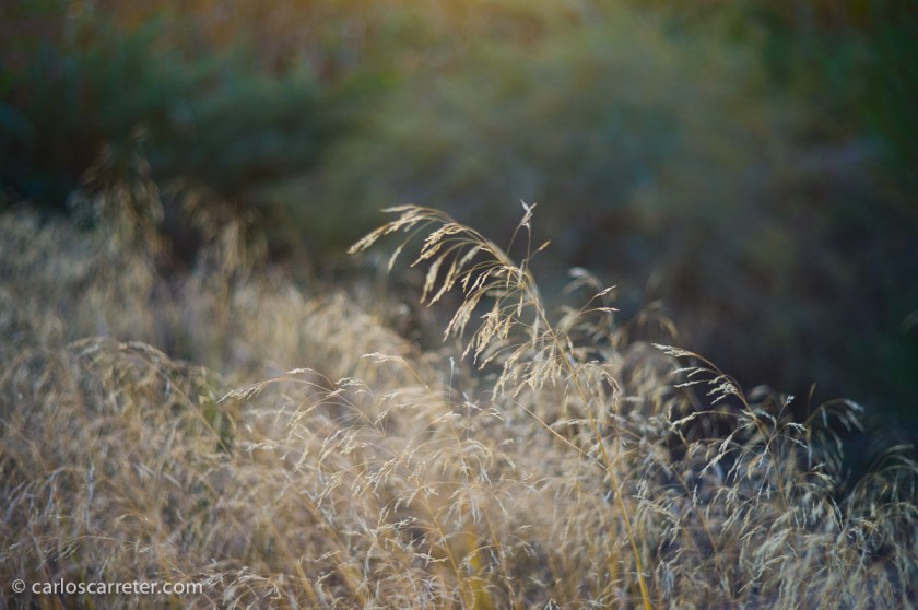 Octubre - Mes de tranquilidad y de paisajes serenos.