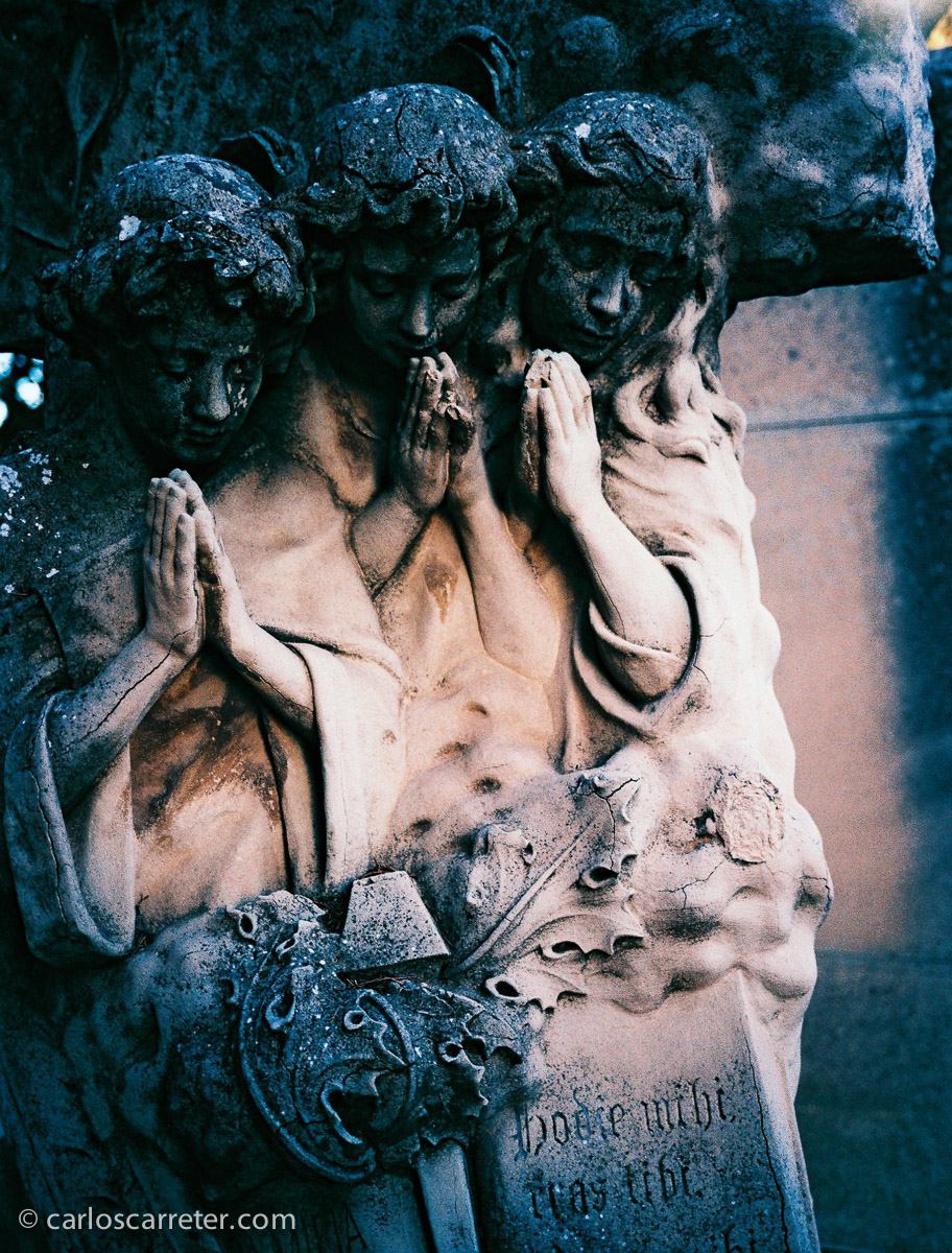 También probé la Fuji con un carrete de Velvia 100, película diapositiva, y procesado cruzado. Alguna foto curiosa conseguí.