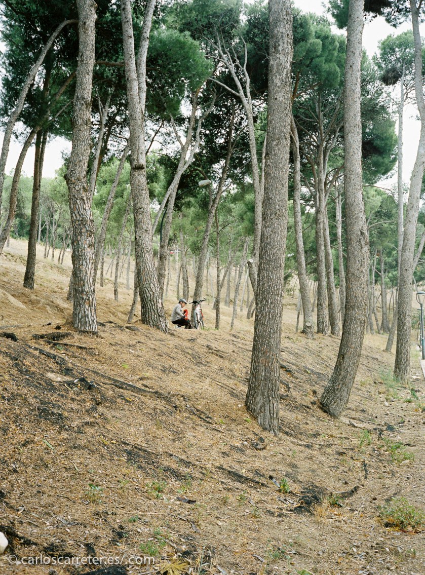 20141124-CarlosCarreter-10