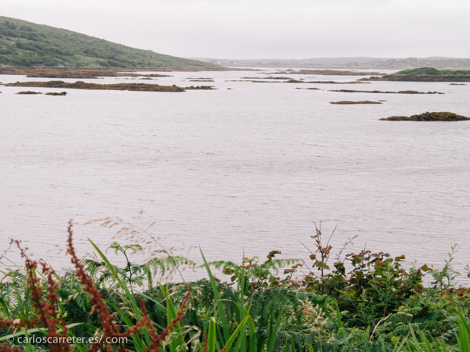 Y por la relación de dominio y explotación de clases que los ingleses establecieron durante siglos en la isla.