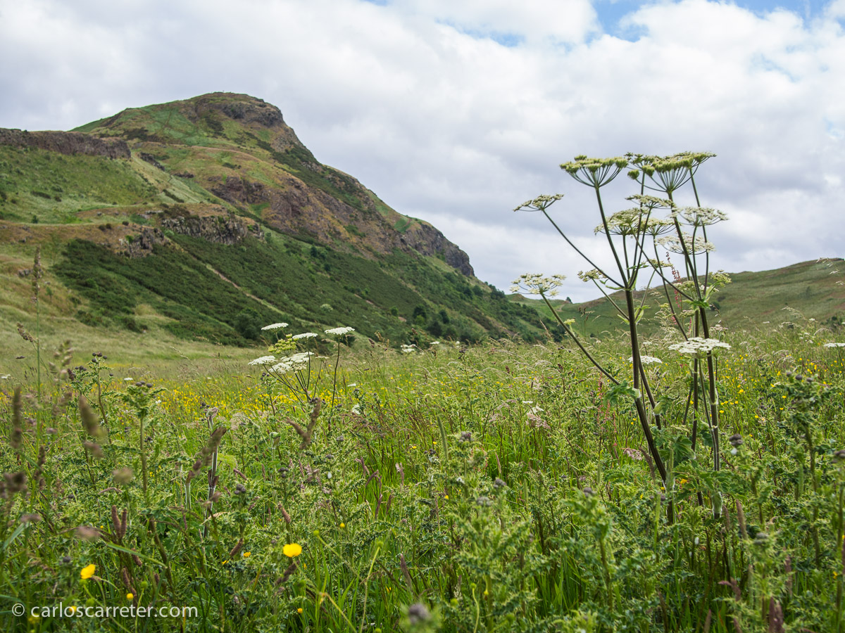 Esta "montaña solitaria" está en Holyrood Park al lado de Edimburgo... pero nos tendrá que valer en este momento.