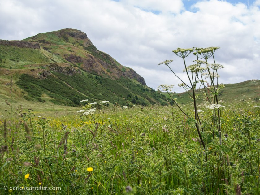 Esta "montaña solitaria" está en Holyrood Park al lado de Edimburgo... pero nos tendrá que valer en este momento.