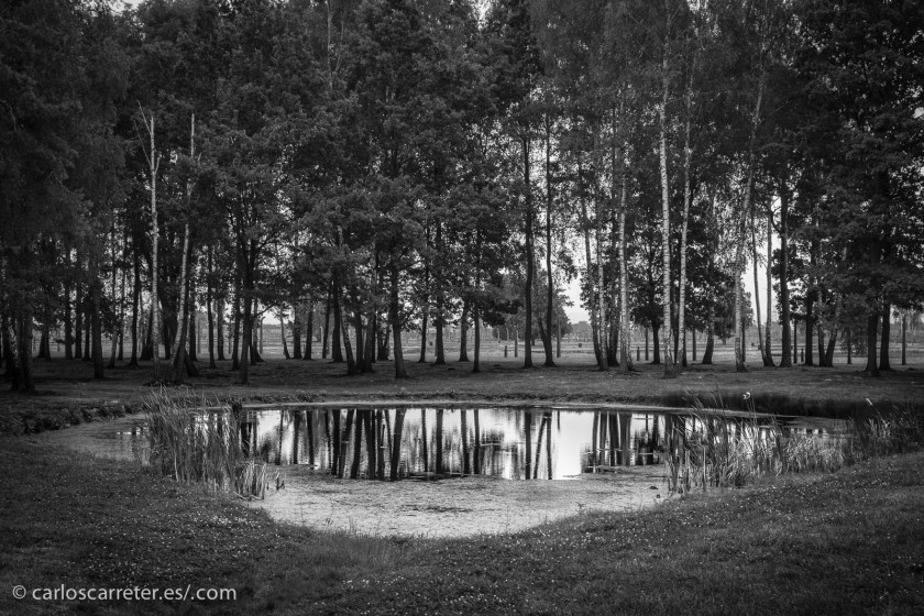 Estanque de las cenizas