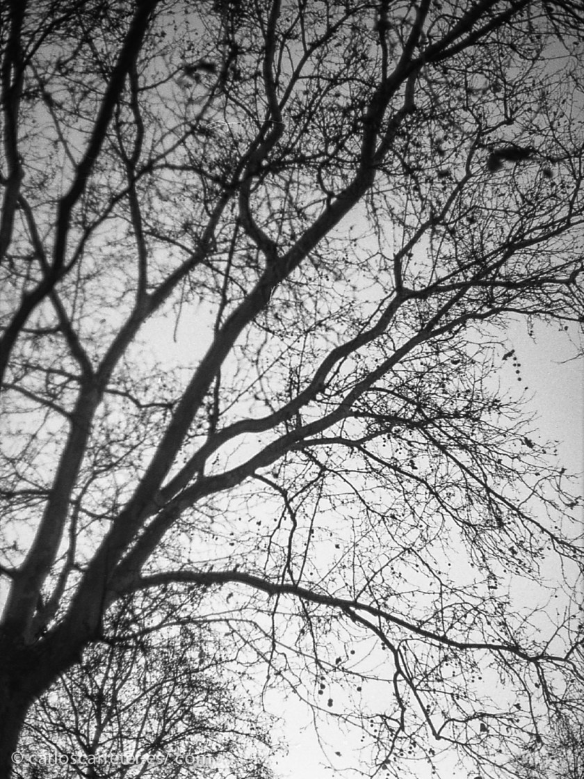 He empezado a revisar las fotos del año 2014 de cara a elaborar el libro o libros de fotos del año (viajes excluidos).