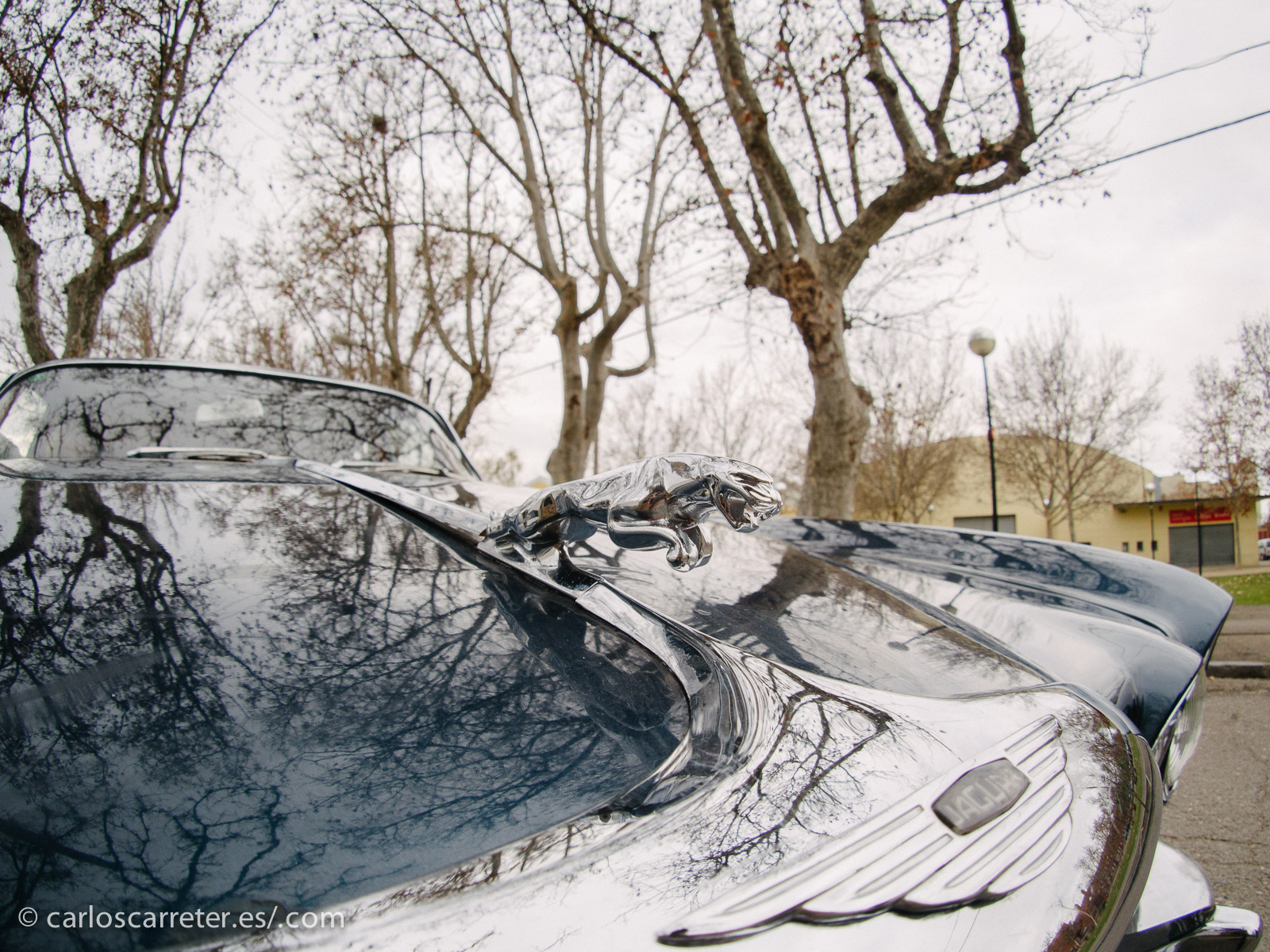 No podían faltar los detalles, como el felino que da nombre a los Jaguar.