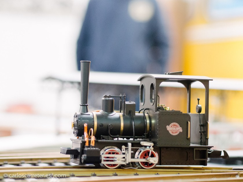 Escurridiza esta pequeña locomotora a escala, hasta que el "conductor" la paró un rato para poder hacerle unas fotos.