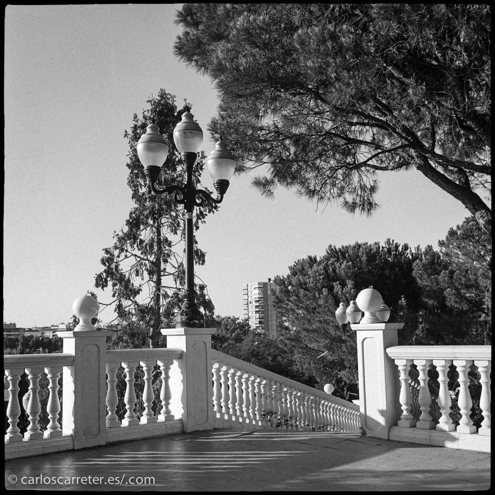 Así que recupero alguna cosa tomada con película el año pasado...