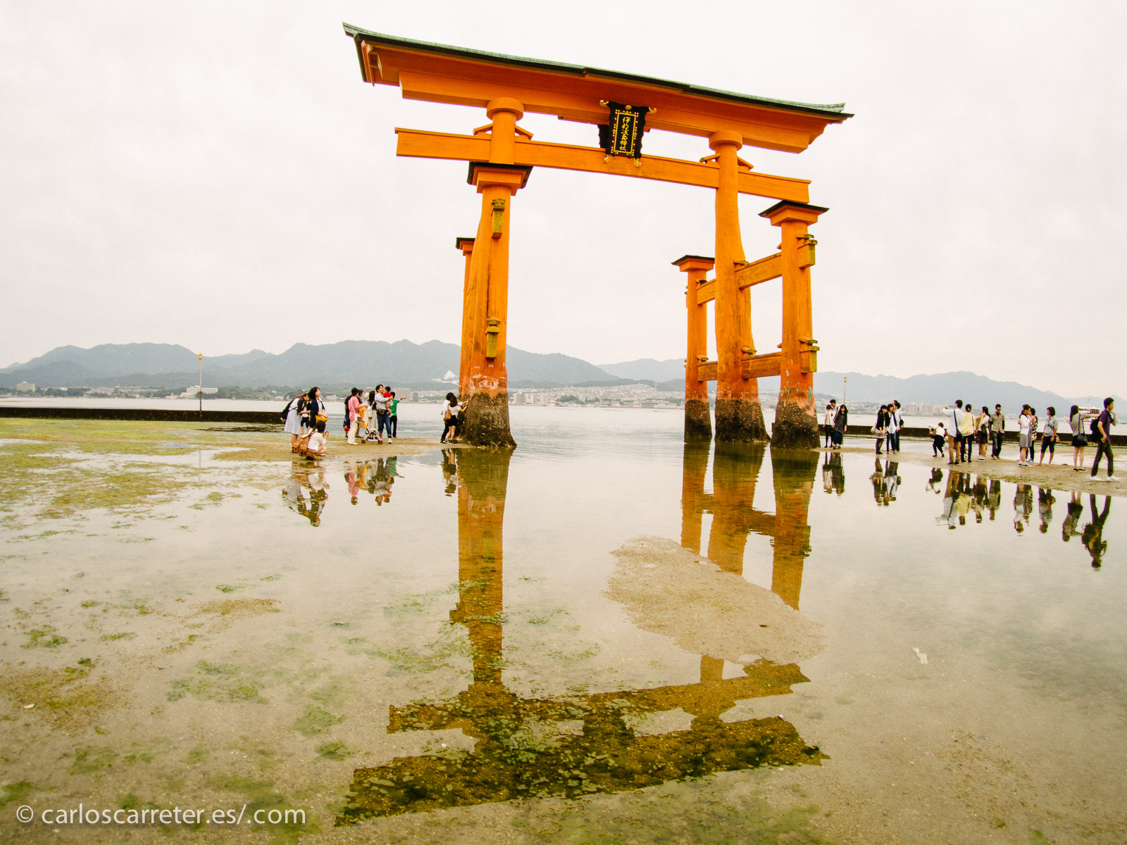 La leyenda de la simpática y animosa Korra, aunque un producto occidental, se desarrolla en un universo no notables resonancias orientales.