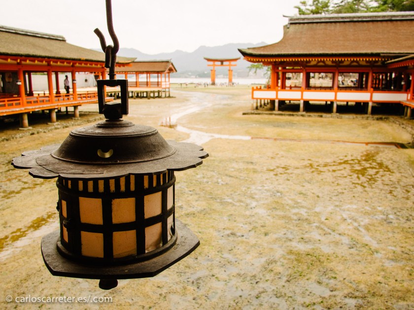 Supongo que eso consigue dos efectos. Uno, el artístico, dar una ambientación interesante a la serie.