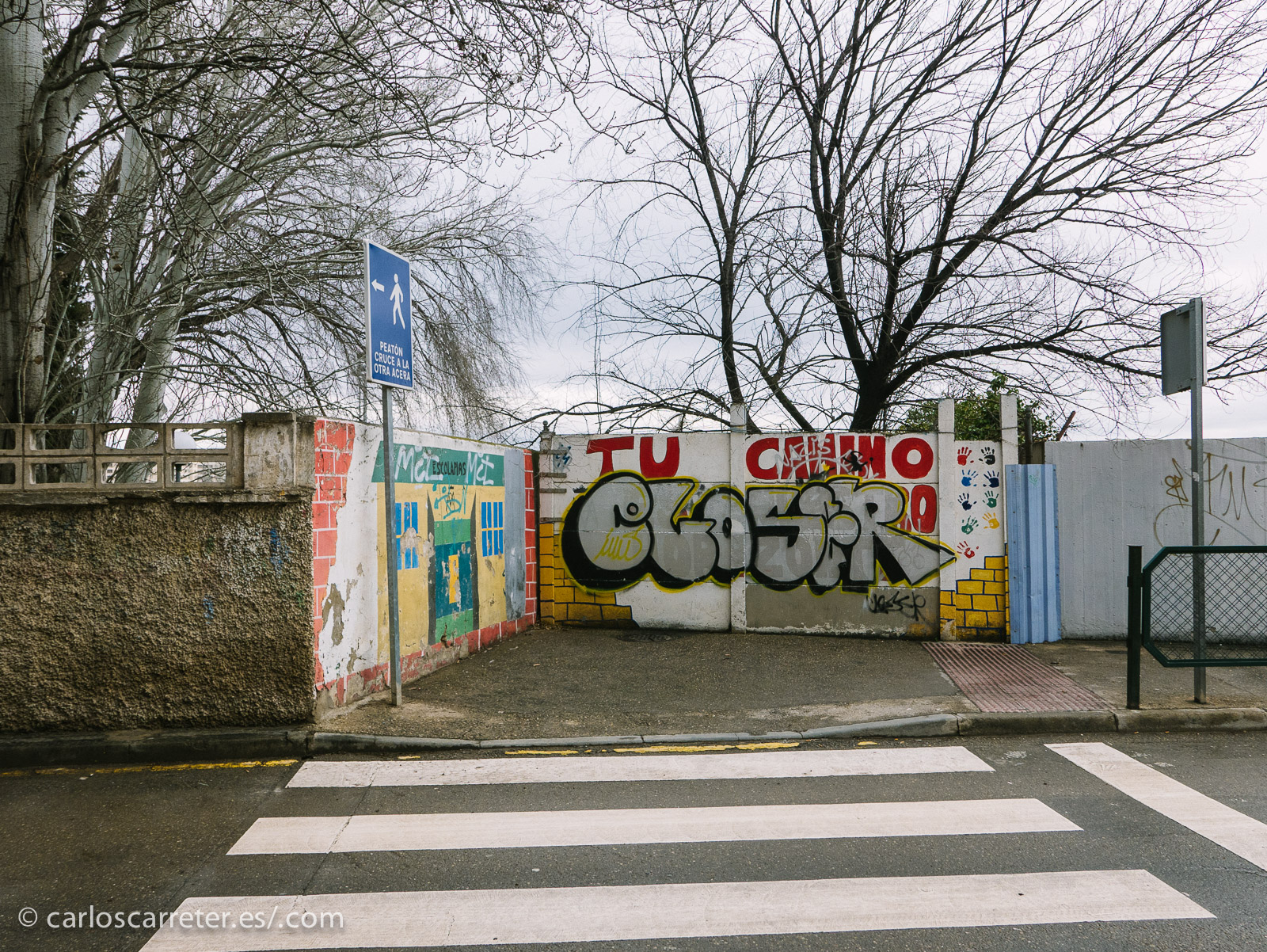 No traigo glamour a las fotografías de la entrada de los óscars. Me ha dado por ahí.