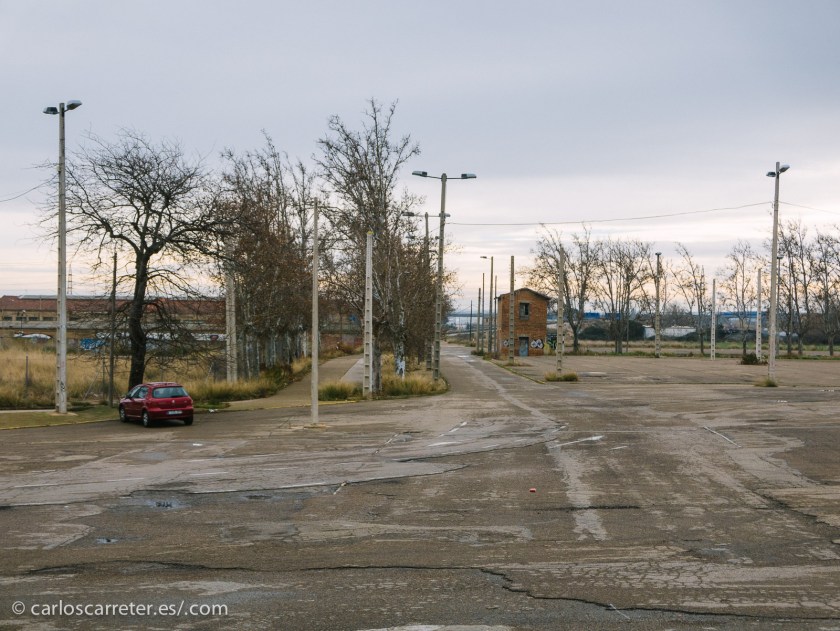En un mes que está haciendo honor a su apelativo popular, "febrerillo el loco", por la inestabilidad de su tiempo, ahora frío, ahora ventoso, ahora lluvioso, ahora templado.